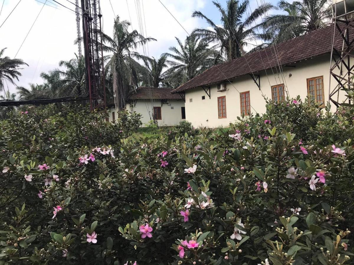 Palm Garden House Hotel Quang Tri Exterior photo